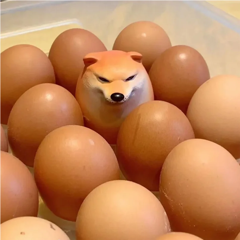 Your Perfect Stress Companion: Shibako Dog Egg