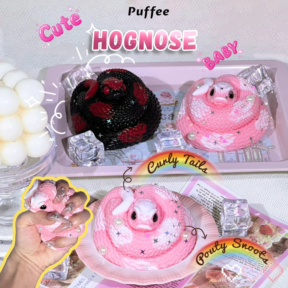 Hognose Design Taba Squishy Toy